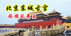 黄片干逼视频中国北京-东城古宫旅游风景区
